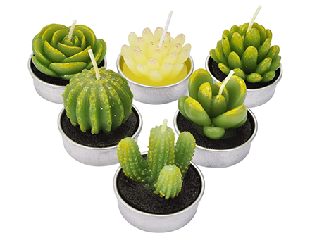velas decoracion cactus para jardin